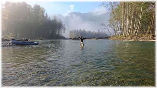 Pitt River Fishing